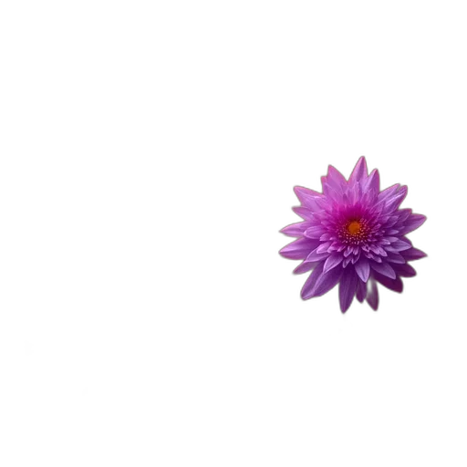 flower, crown, jewelry, weapon transparent PNG cut-out