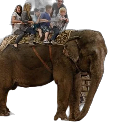 animal, concept art, photorealistic, children transparent PNG cut-out