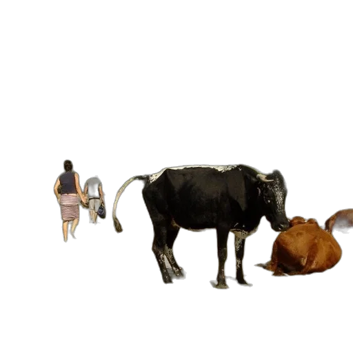 animal, creature, food, concept art transparent PNG cut-out