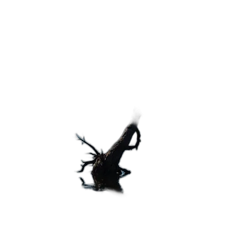 dragon, animal, creature, hair transparent PNG cut-out