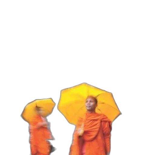 umbrella, staff, dress, jacket transparent PNG cut-out