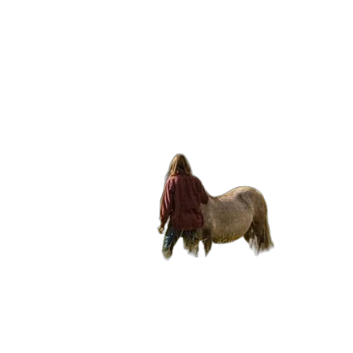animal, hair, creature, jacket transparent PNG cut-out
