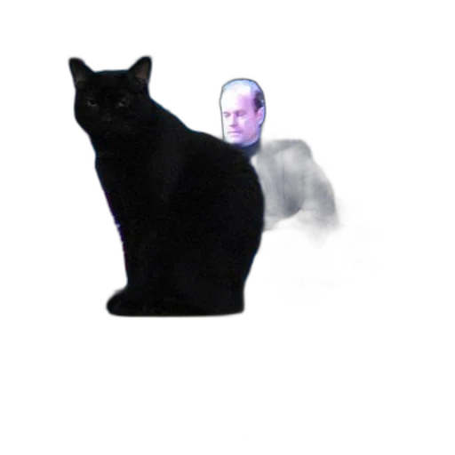 animal, creature, staff, face transparent PNG cut-out
