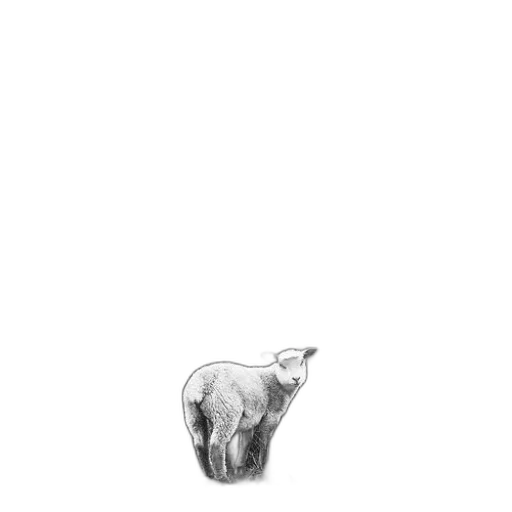 animal, creature, jewelry, hat transparent PNG cut-out