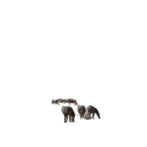 animal, creature, hair, furniture transparent PNG cut-out