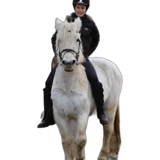 staff, animal, jacket, person transparent PNG cut-out