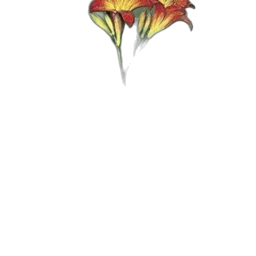 flower, umbrella, crown, staff transparent PNG cut-out
