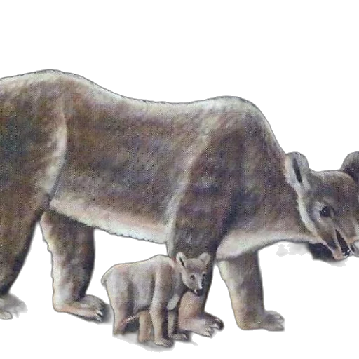 animal, creature, staff, concept art transparent PNG cut-out