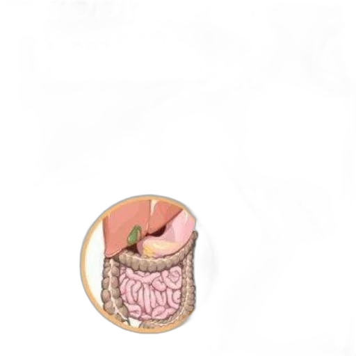 food, jewelry, crown, hat transparent PNG cut-out