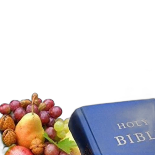 food, book, cover, titled transparent PNG cut-out