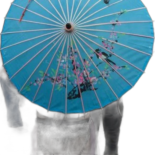 umbrella, hat, mask, staff transparent PNG cut-out