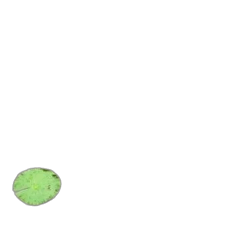 food, hat, creature, weapon transparent PNG cut-out