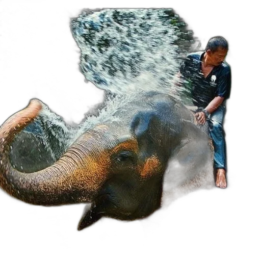 animal, creature, umbrella, weapon transparent PNG cut-out