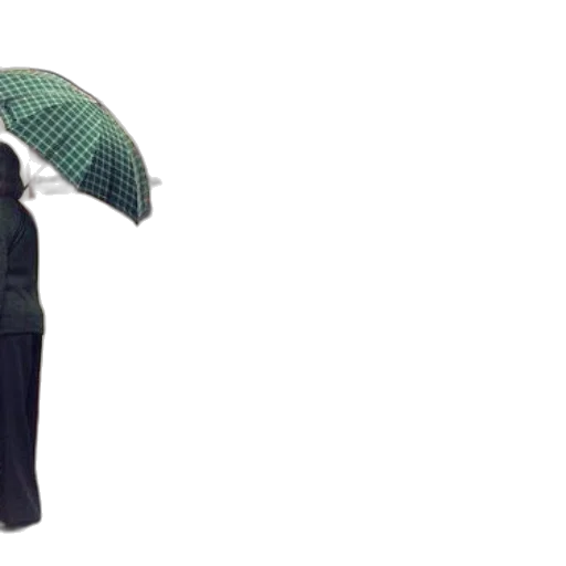 umbrella, jacket, dress, hat transparent PNG cut-out