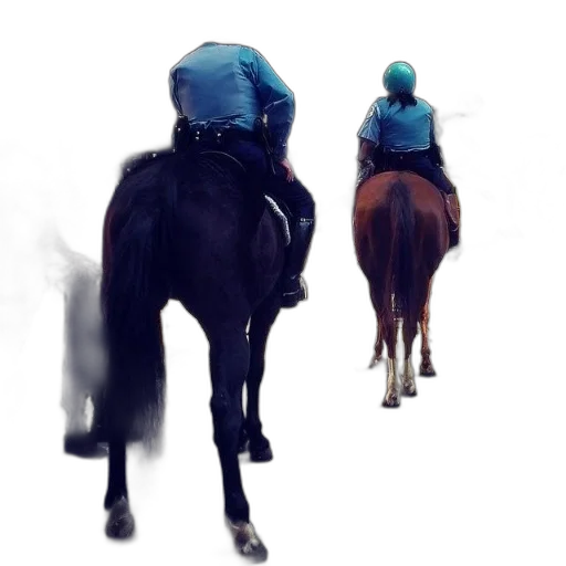 jacket, animal, hat, mask transparent PNG cut-out