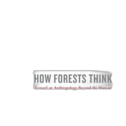 forest, cover, how, forests transparent PNG cut-out