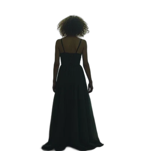 dress, hair, crown, jewelry transparent PNG cut-out