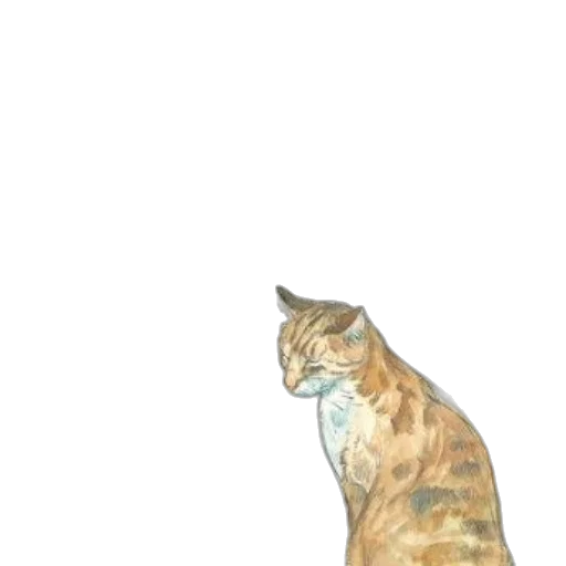 animal, creature, staff, dress transparent PNG cut-out