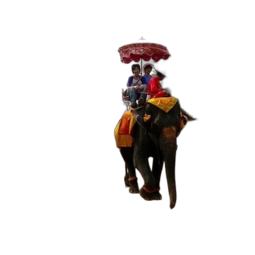 umbrella, hat, staff, animal transparent PNG cut-out