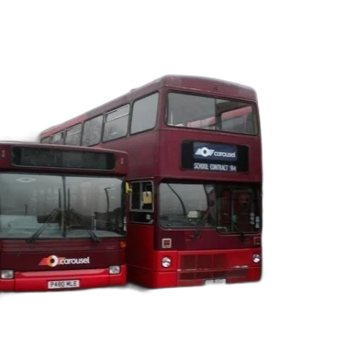 3d render, photorealistic, three, red transparent PNG cut-out