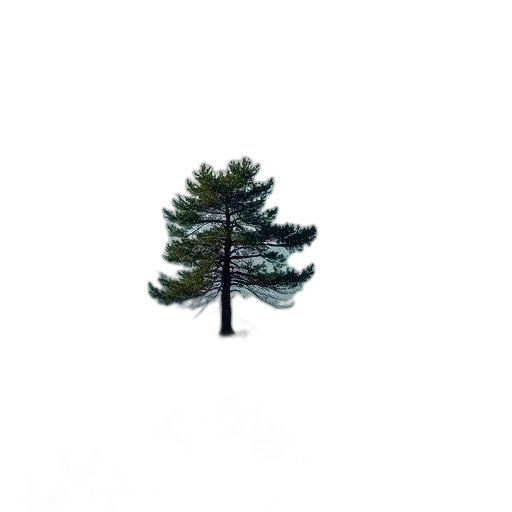 tree, crown, hat, dress transparent PNG cut-out