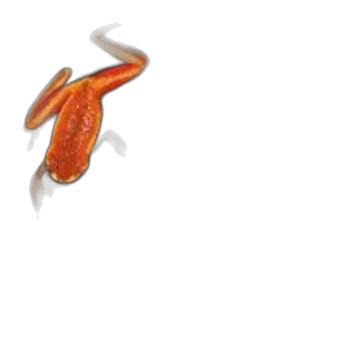 food, dragon, weapon, staff transparent PNG cut-out