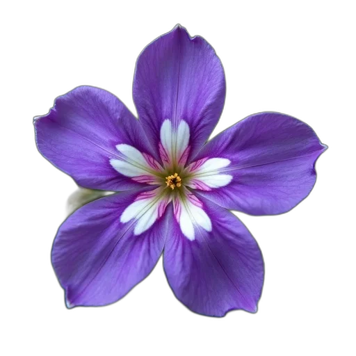 flower, crown, jewelry, staff transparent PNG cut-out