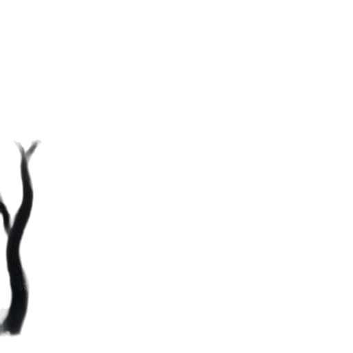 hair, staff, crown, tree transparent PNG cut-out