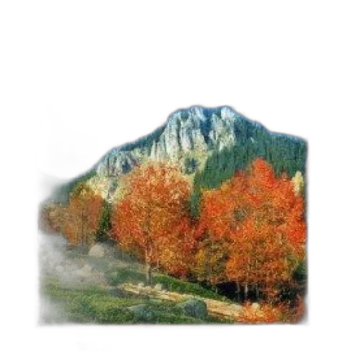 tree, jacket, hat, hair transparent PNG cut-out