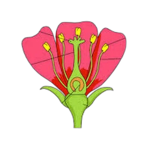 flower, crown, staff, jewelry transparent PNG cut-out