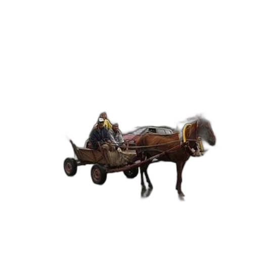furniture, car, animal, staff transparent PNG cut-out