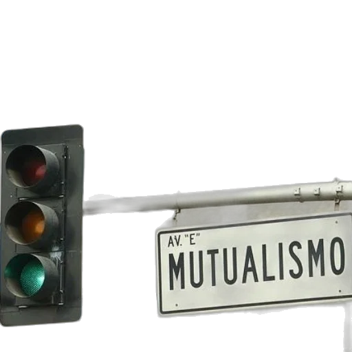 car, traffic, light, word transparent PNG cut-out