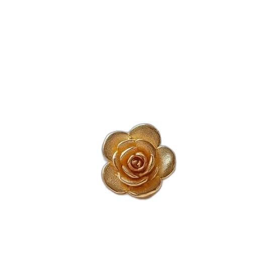 flower, jewelry, crown, food transparent PNG cut-out