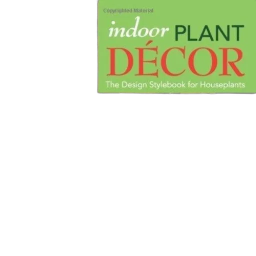 green, indoor, plant, decor transparent PNG cut-out