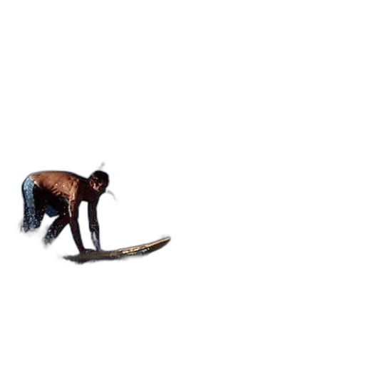 animal, staff, creature, weapon transparent PNG cut-out
