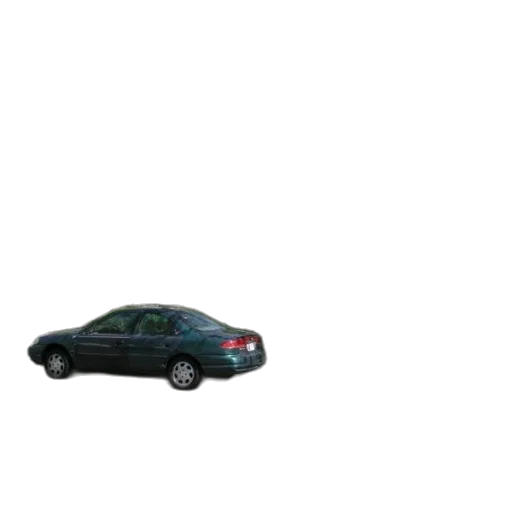 car, staff, animal, weapon transparent PNG cut-out