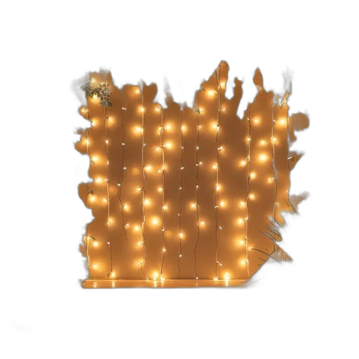crown, hat, tree, hair transparent PNG cut-out