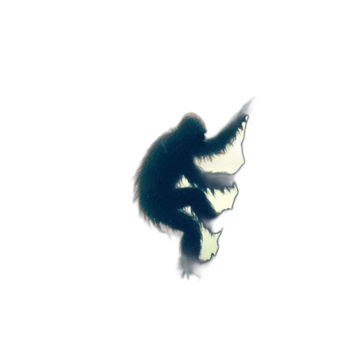 creature, mask, dragon, hair transparent PNG cut-out