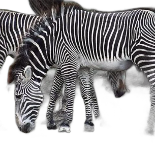 animal, creature, photorealistic, 3d render transparent PNG cut-out