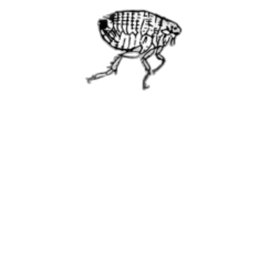 hat, umbrella, creature, robot transparent PNG cut-out