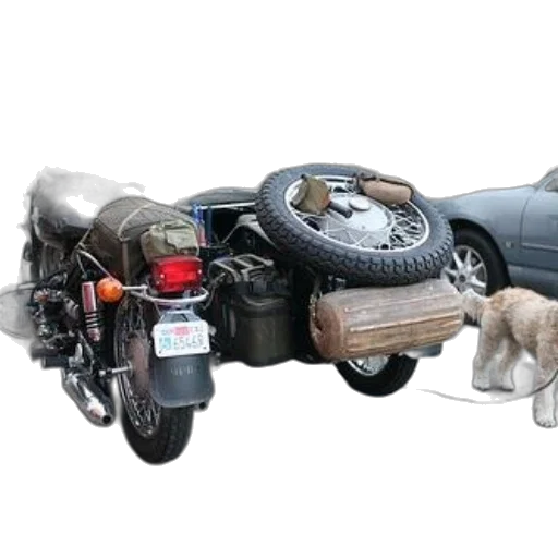 car, robot, weapon, animal transparent PNG cut-out