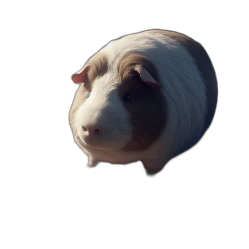 animal, face, creature, mask transparent PNG cut-out
