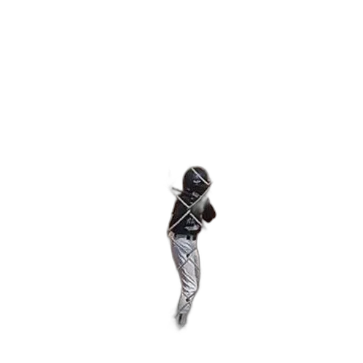 robot, creature, animal, hair transparent PNG cut-out