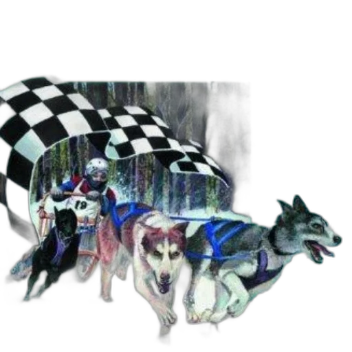 animal, dragon, creature, car transparent PNG cut-out