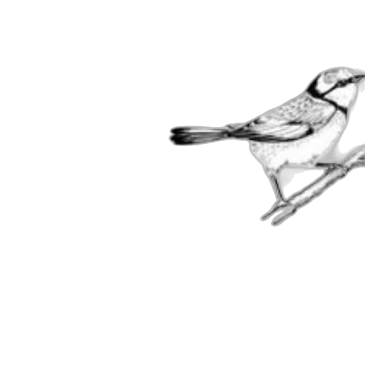 animal, staff, weapon, creature transparent PNG cut-out