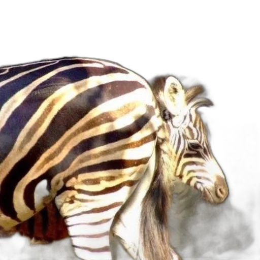 animal, creature, photorealistic, concept art transparent PNG cut-out