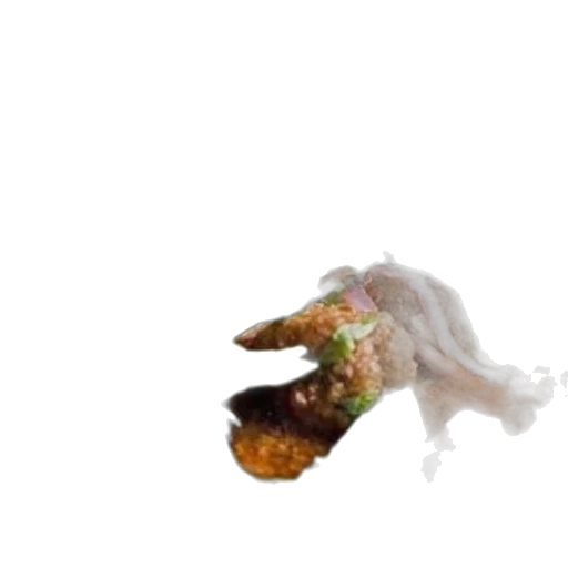 food, creature, animal, dragon transparent PNG cut-out