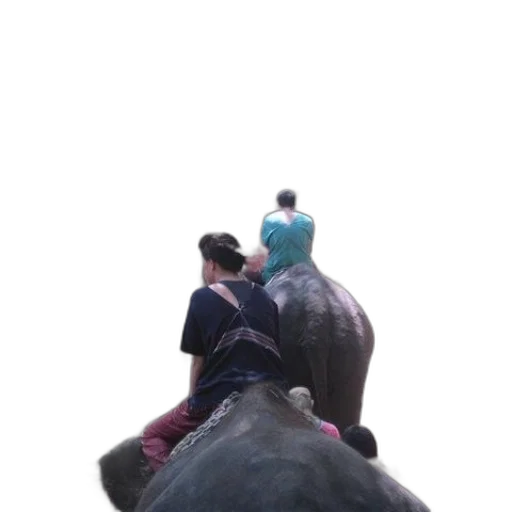 animal, creature, staff, umbrella transparent PNG cut-out