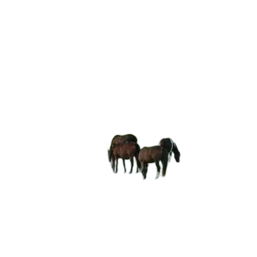 furniture, animal, jewelry, creature transparent PNG cut-out