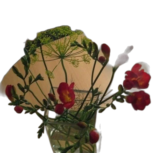 hat, crown, flower, mask transparent PNG cut-out